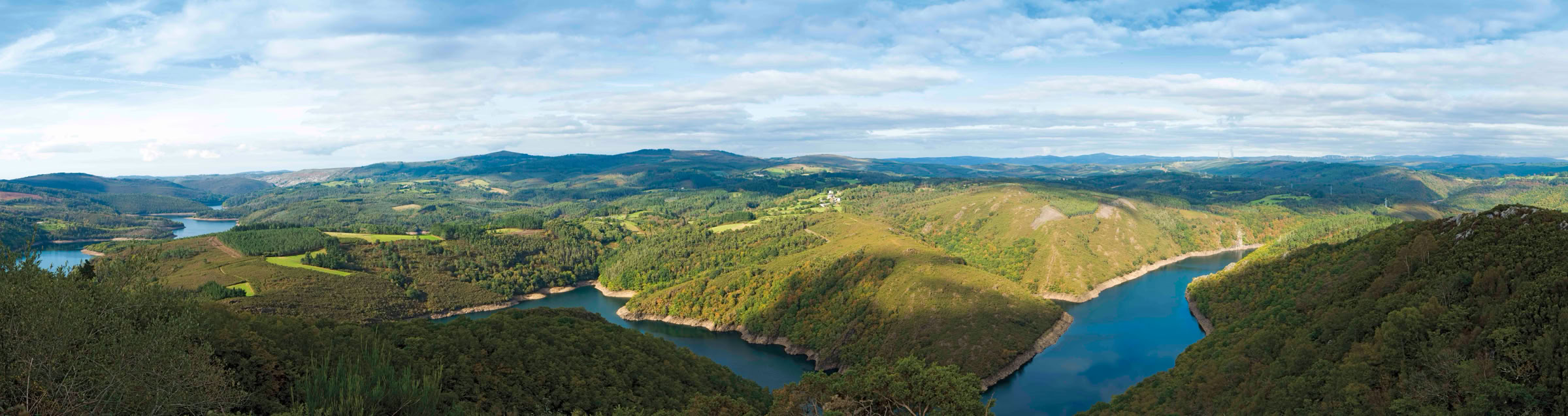Fragas do Eume. El bosque atlántico de Europa